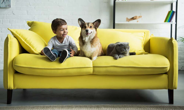 Child sitting with small dog 