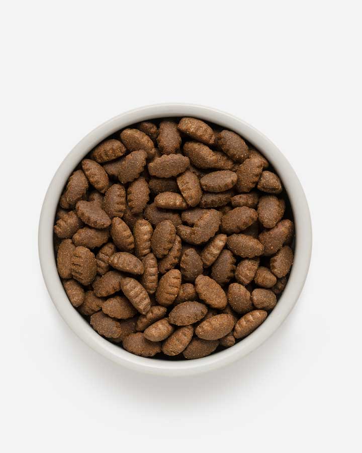 Grandorf Adult Maxi - Kibble