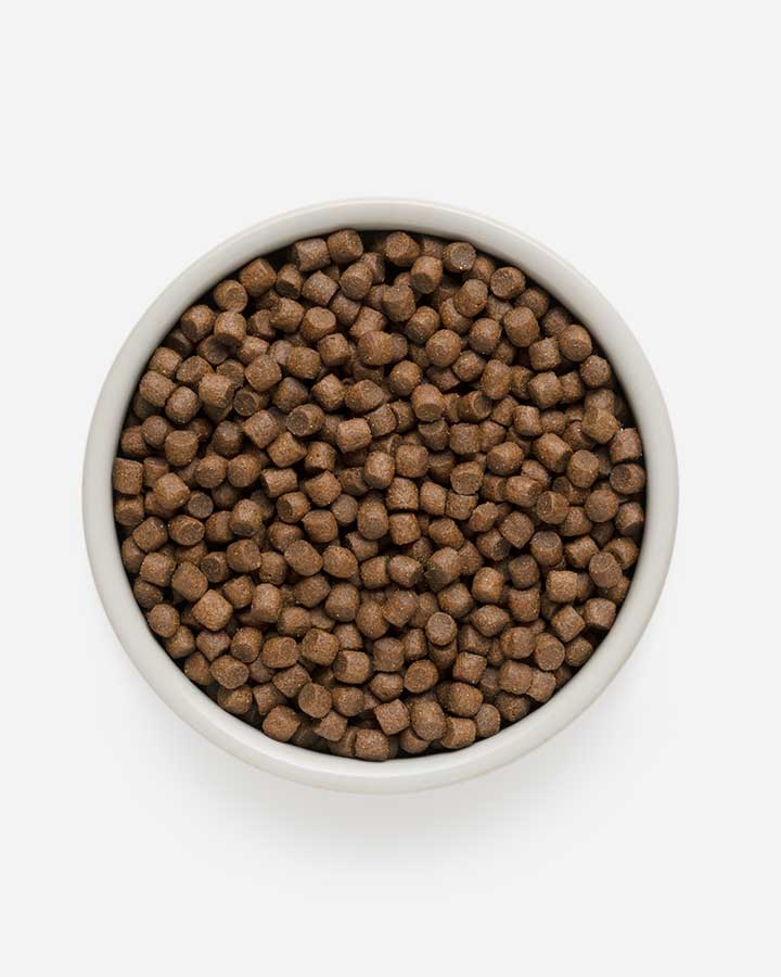 Grandorf Adult Mini - Kibble