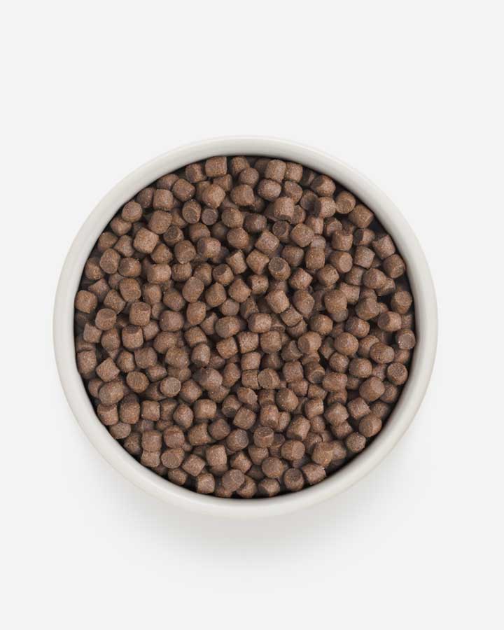 Grandorf Adult Mini - Kibble