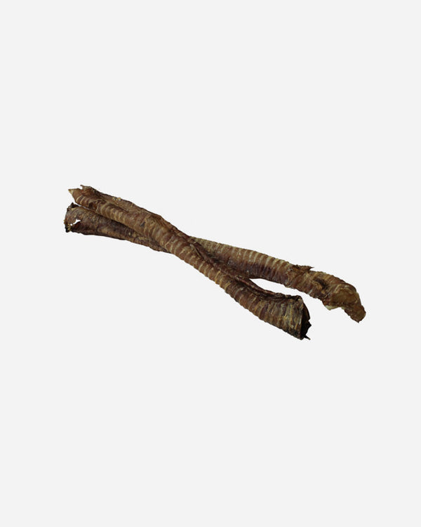 Tikki Beef Trachea Whole for dogs