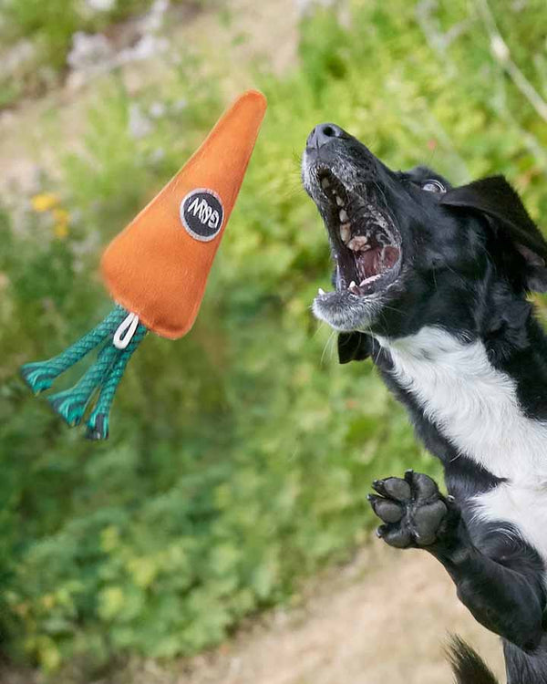 Candice the Carrot Dog Toy