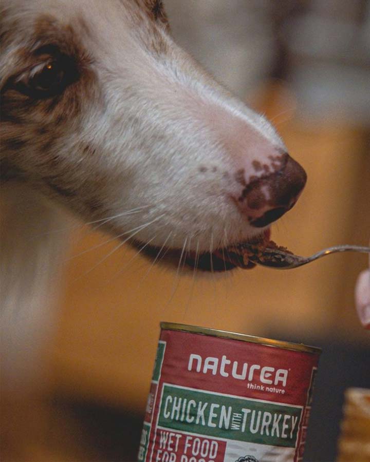 Naturea Chicken with Turkey Wet Food for Dogs