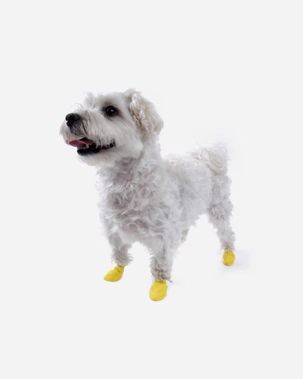 Dog Shoes - Rubber Boots