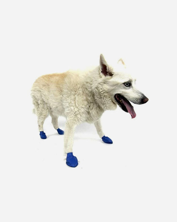 Dog Shoes - Rubber Boots