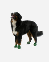 Dog Shoes - Rubber Boots