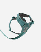 Dog harness