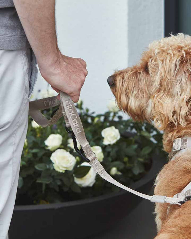 MiaCara Modena Adjustable Dog Leash