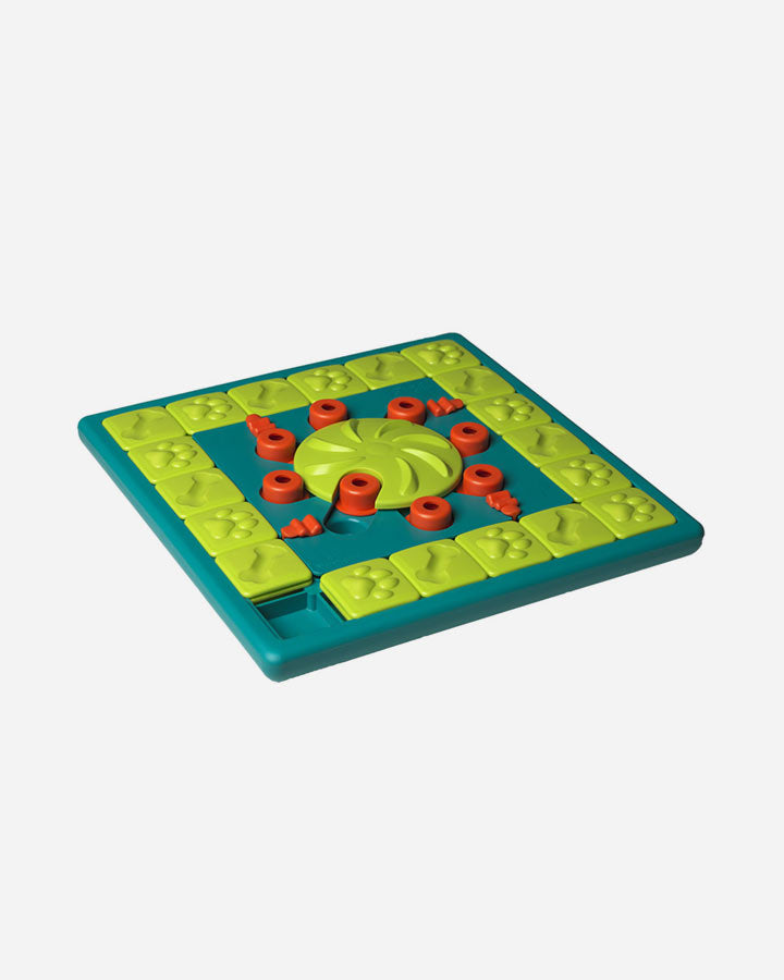 Dog activity game