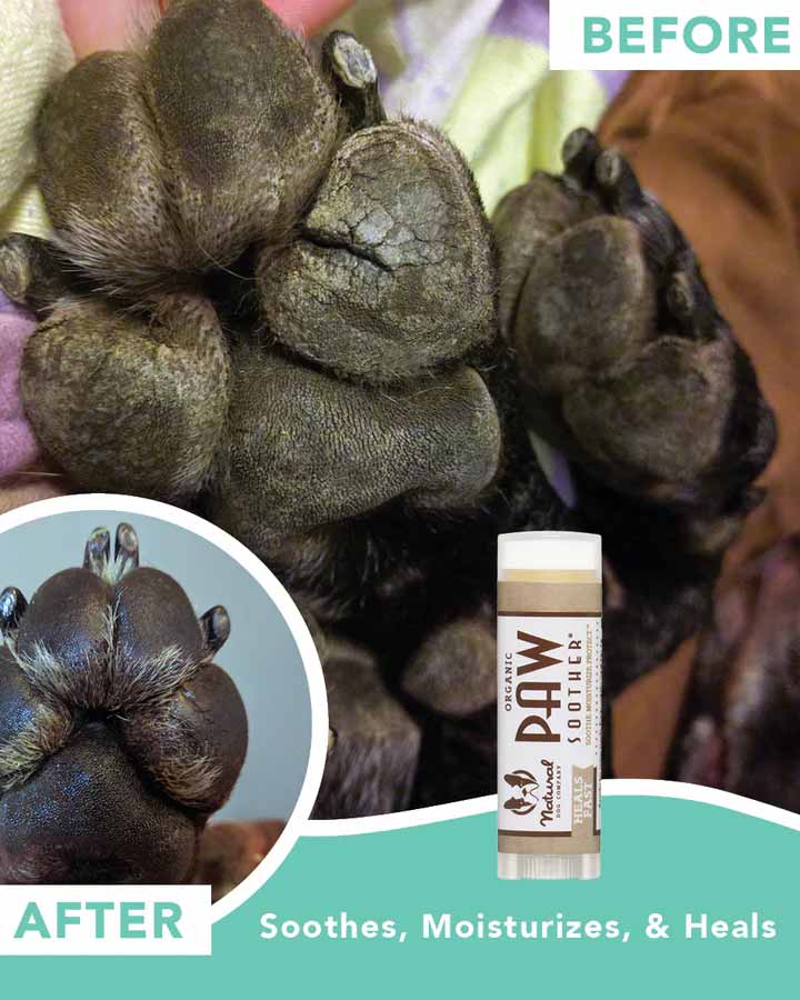 Natural Dog Company Paw Soother