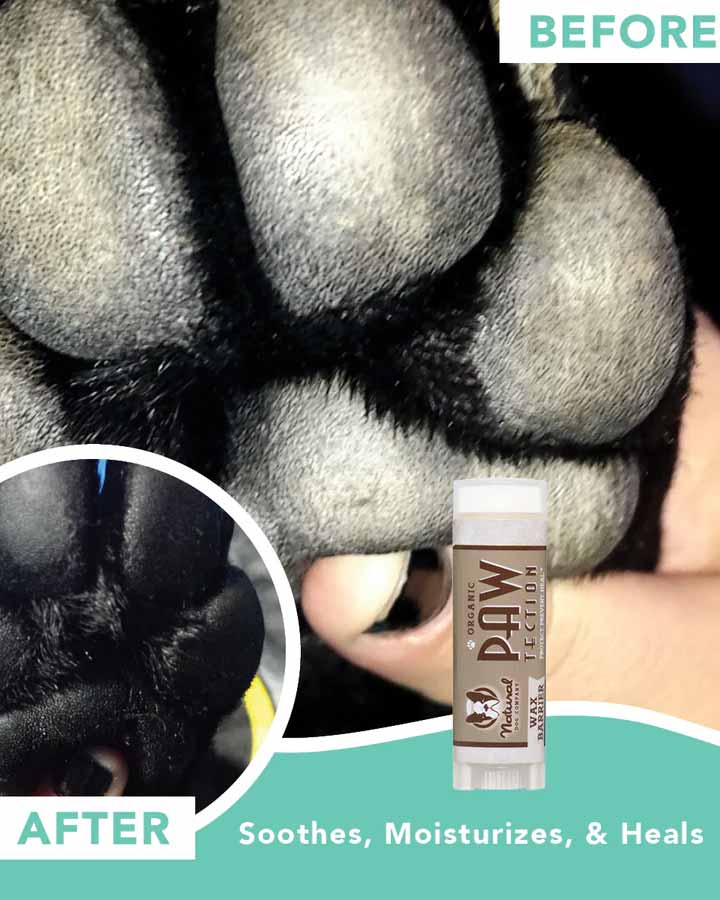 PawTection Paw Wax 