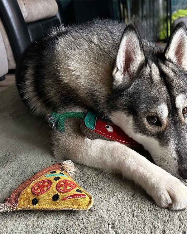 Pizza dog toy