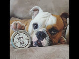 Natural Dog Company Paw Soother