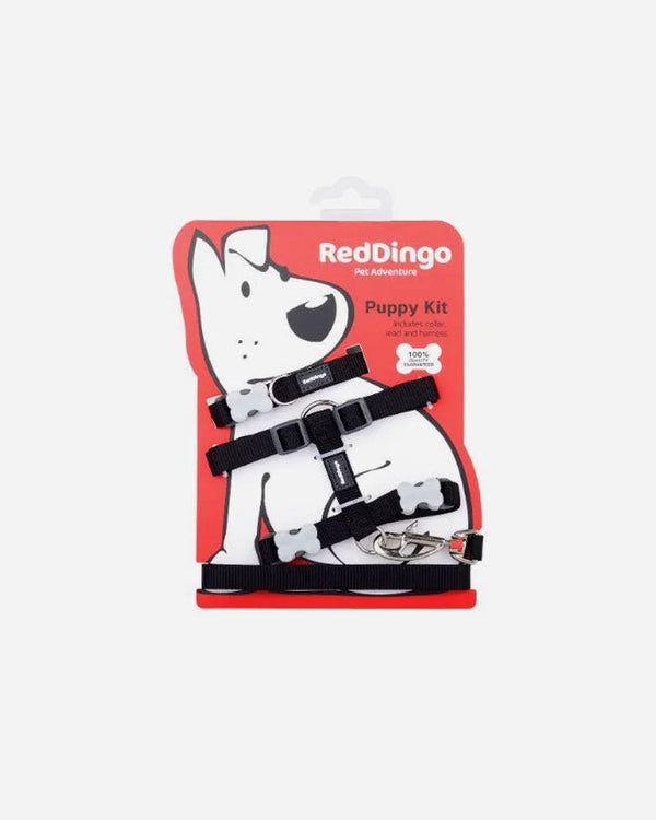 Puppy Set - Red Dingo - Black