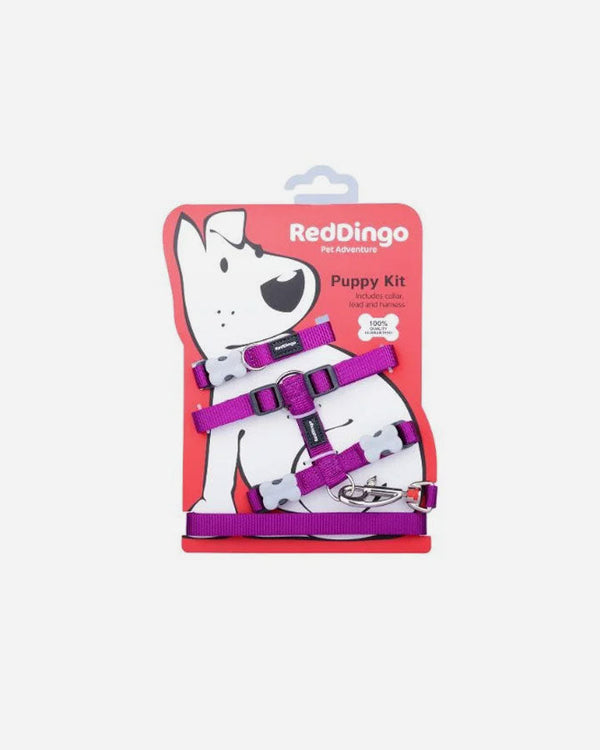 Puppy Set - Red Dingo - Purple