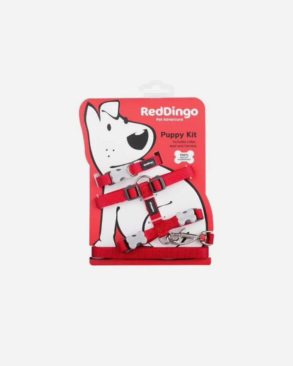 Puppy Set - Red Dingo - Red