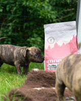 Monster Puppy Small Breed Dog Food