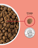 Acana Red Meat Dog Kibble