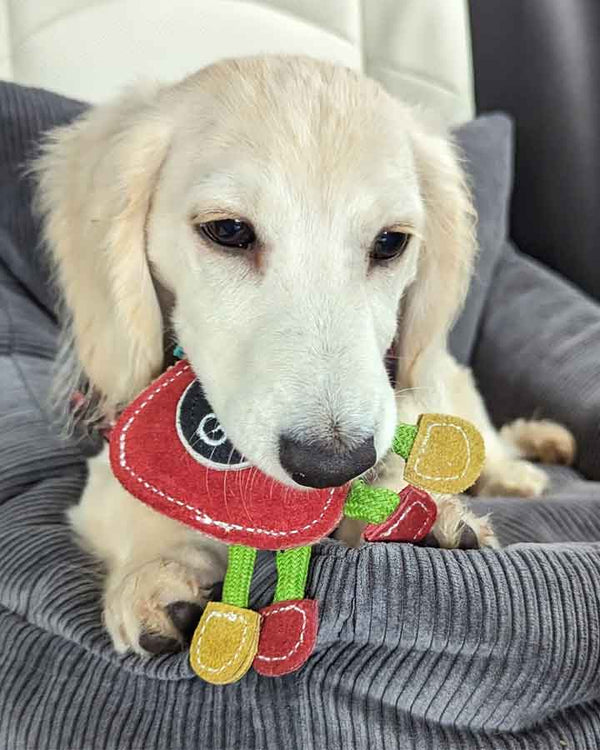 Strawberry dog toy