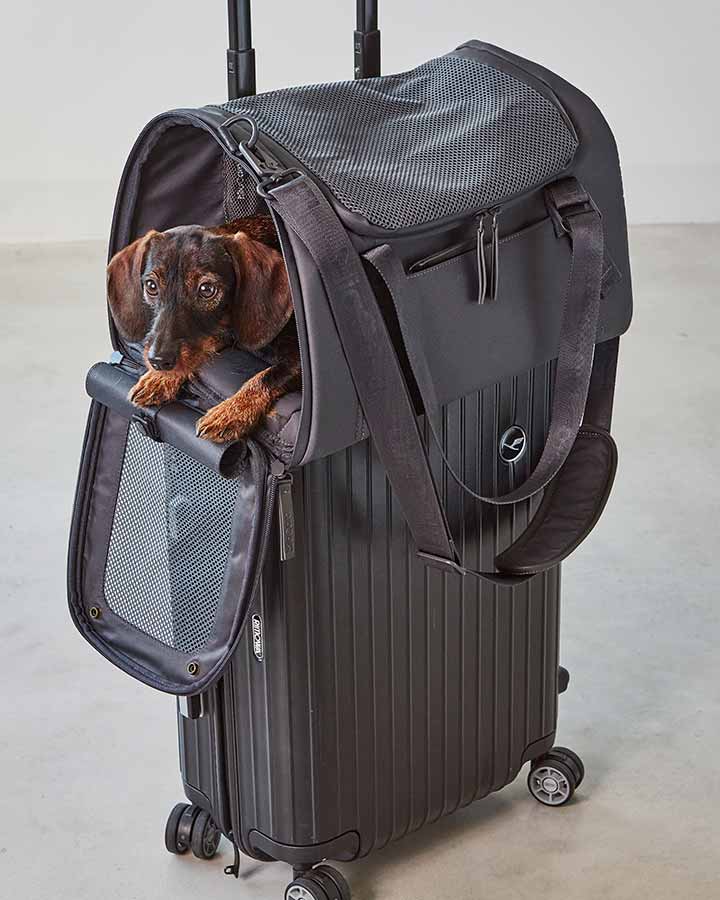 MiaCara Volata dog carrier