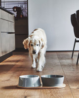 Dog with MiaCara Doppio Bowl Set - Concrete