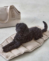 Dog lying on inlay - MiaCara Sporta