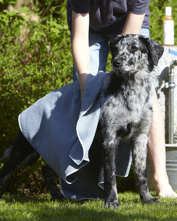 Drying dog with MiaCara Panno Microfiber Dog Towel