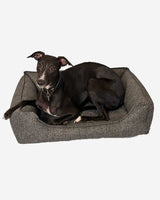 Dog lying on Petlux Napo Dog Bed