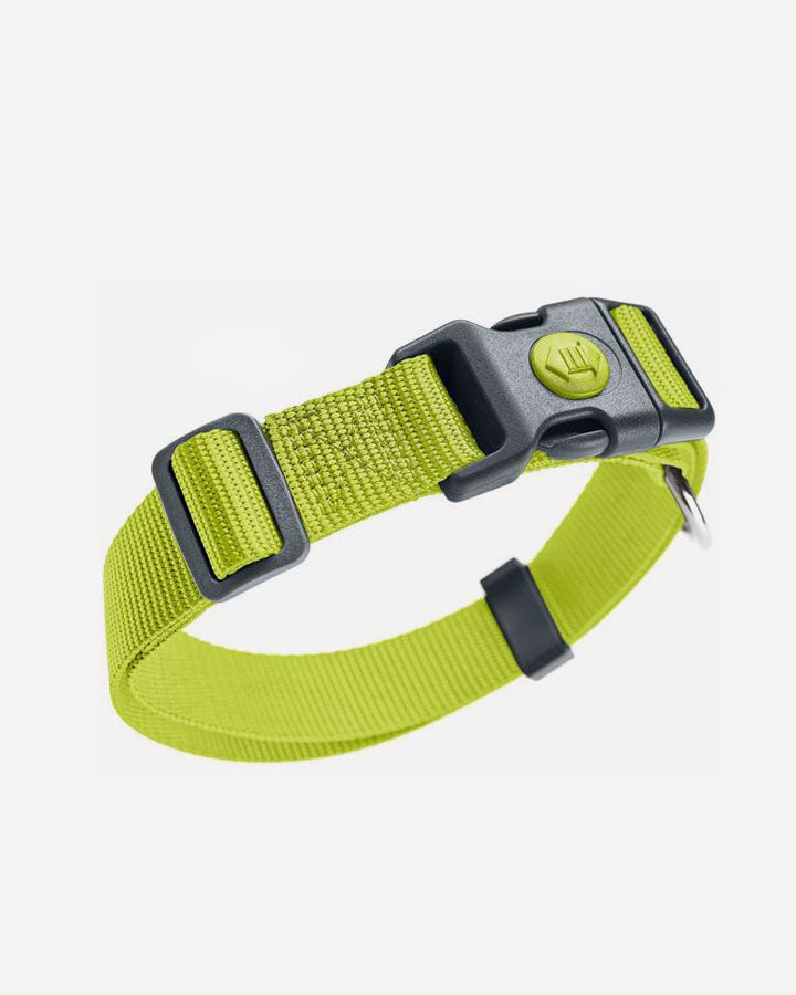 Hunter Utility Dog Collar - London - Lime