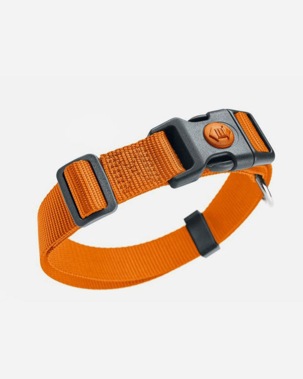 Hunter Utility Dog Collar - London - Orange