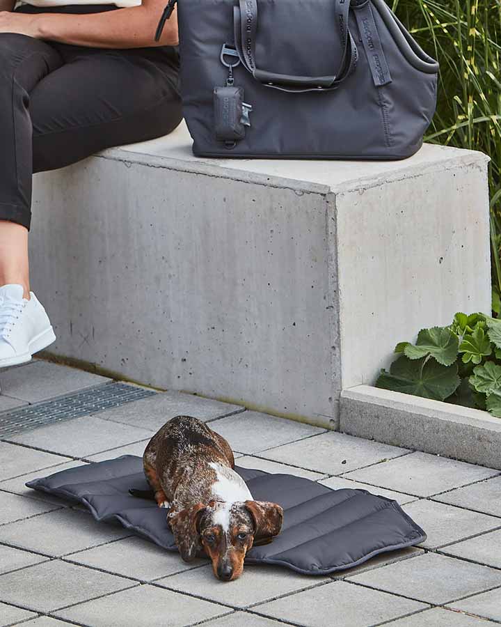 Dog lying on inlay - MiaCara Sporta Dog Carrier