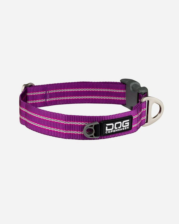 Urban Style Dog Collar - Purple Passion - Petlux