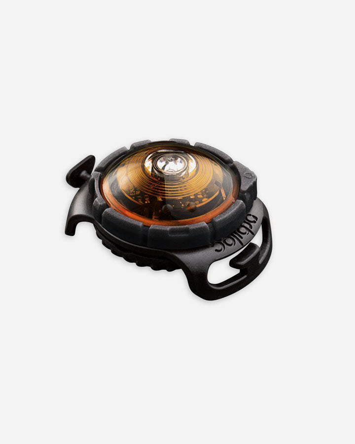 Orbiloc Dog Dual - safety light - amber