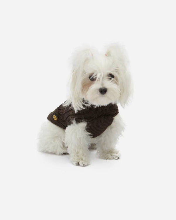 Dog wearing brown knitted sweater - Fashion Dog