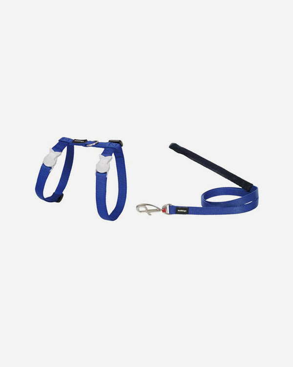 Red Dingo Cat Harness and Leash - Blue
