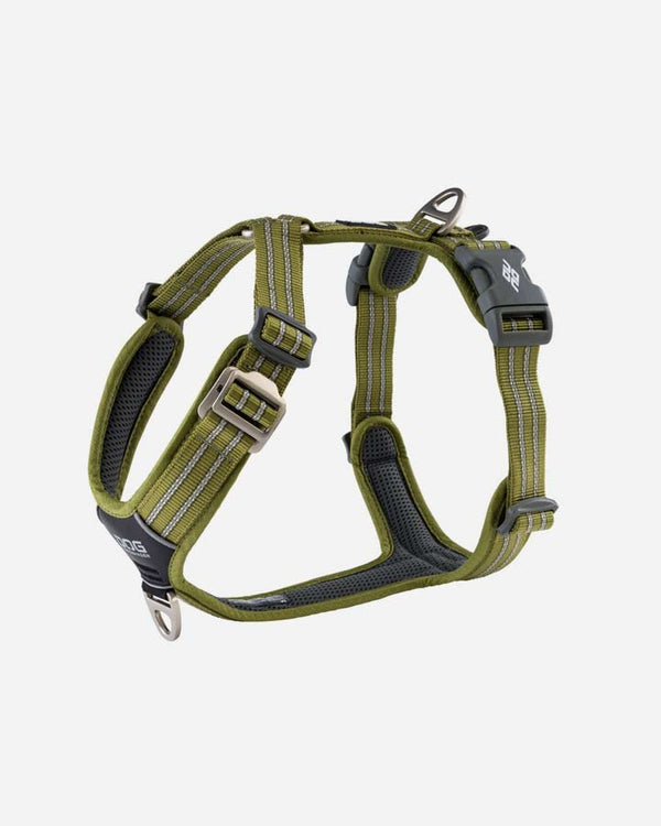 Comfort Walk Air - Dog Harness - Green