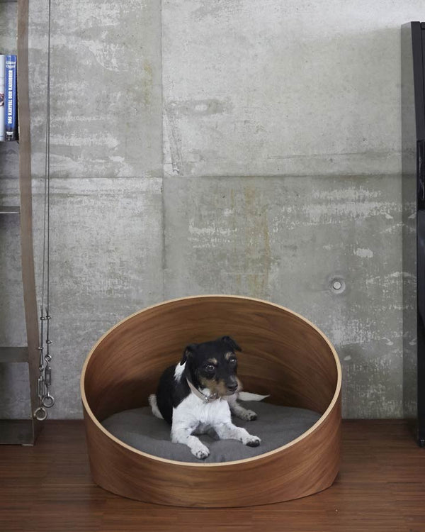 Dog lying in MiaCara Covo Dog Bed - Walnut/Mocca
