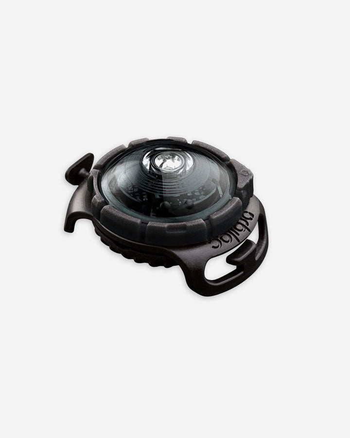 Orbiloc Dog Dual - safety light - black