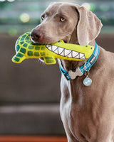 Dog with Durables Crocodile Kyle 