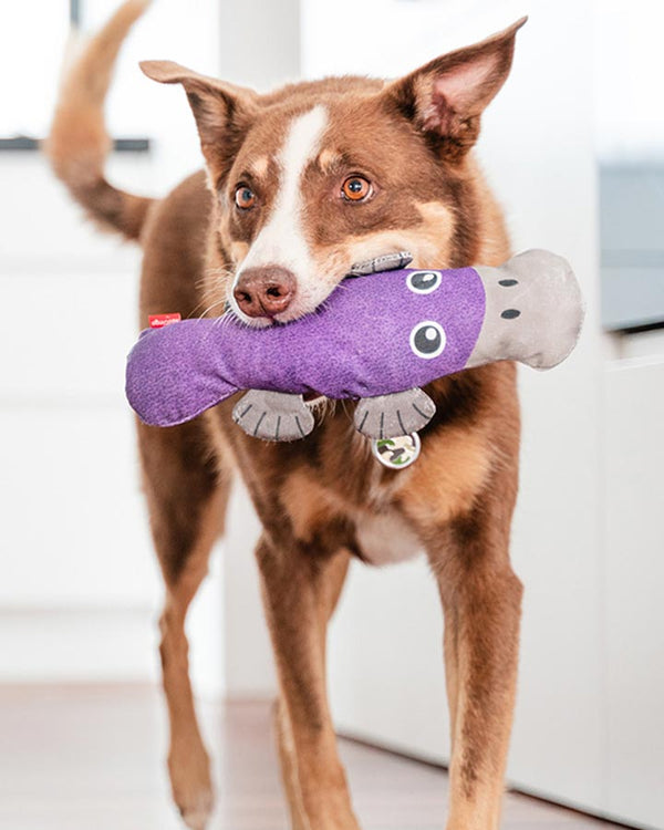Dog with Durables Platypus Pam - Purple