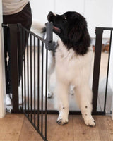 DogSpace Lassie Pressure Fitted Dog Gate - Black