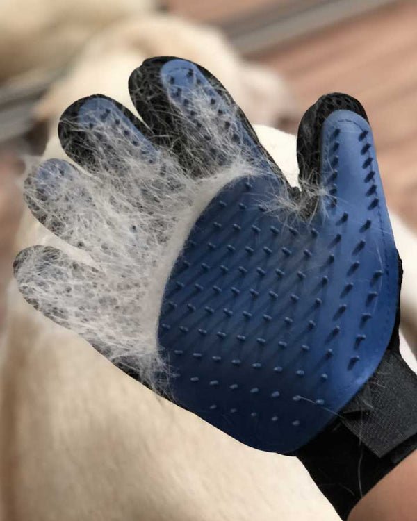 Fur removed by Magic Grooming Glove