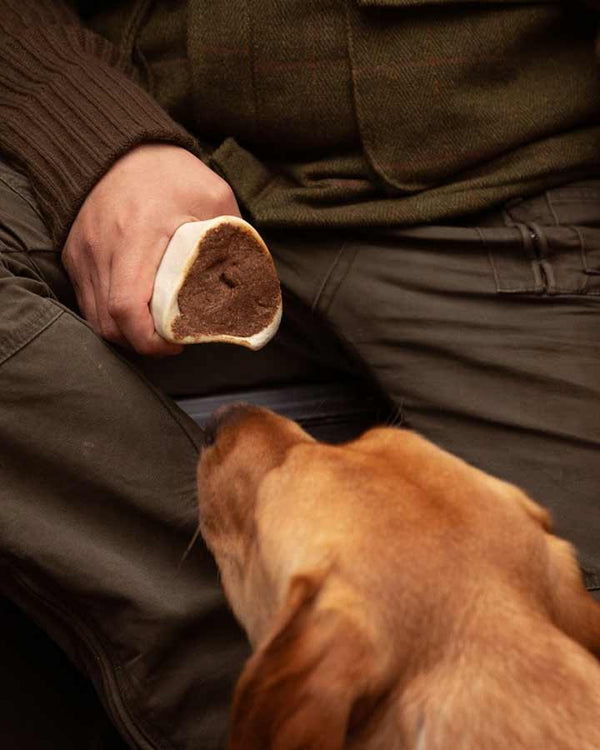 Feeding dog Essential Bone Marrow Delight