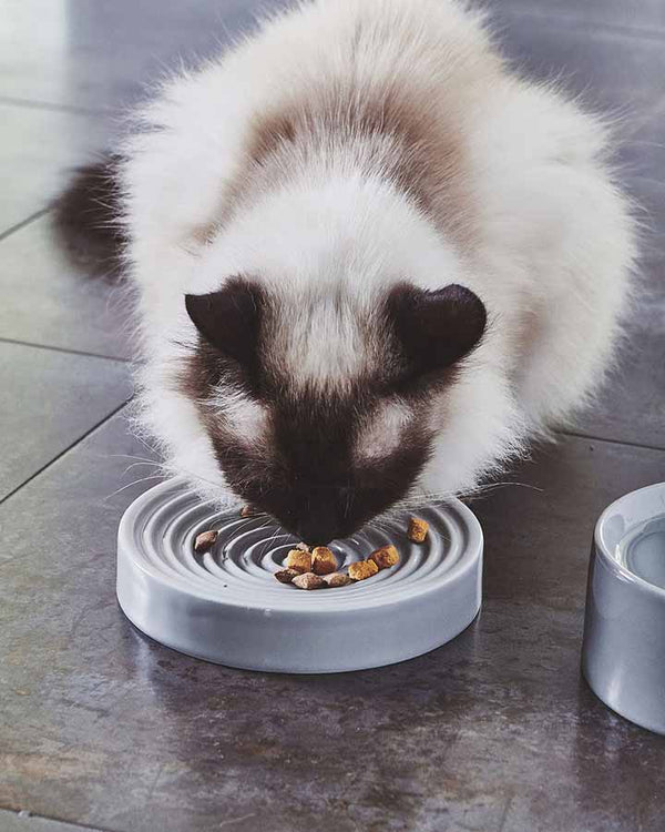 Porcelain Cat Food Bowl- Piatto (Concrete)
