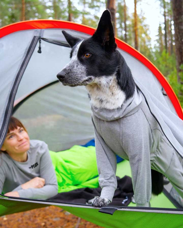 Dog camping in Paikka Recovery Overall