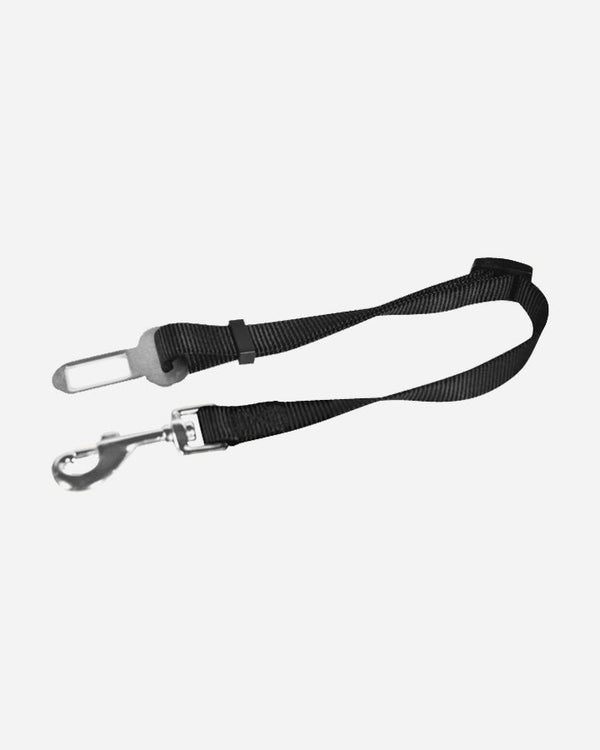 Safety Harness Strap - 20mm