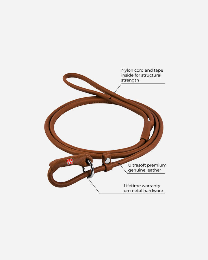Rolled Leather Display Dog Lead