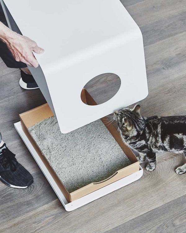 Cat Litter Box - Sito 