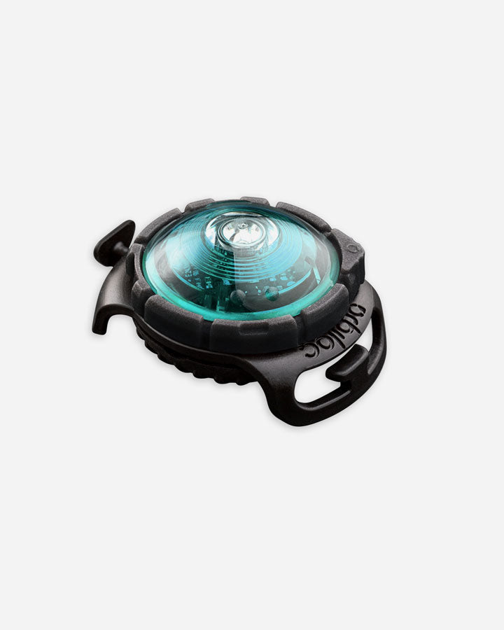 Orbiloc Dog Dual - safety light - turquoise