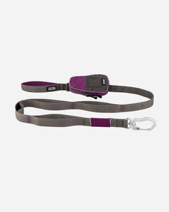 Urban Trail Dog Leash - Purple  Passion - PetLux